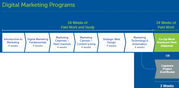 Programmi Co-op Canada, studio e lavoro - Digital Marketing