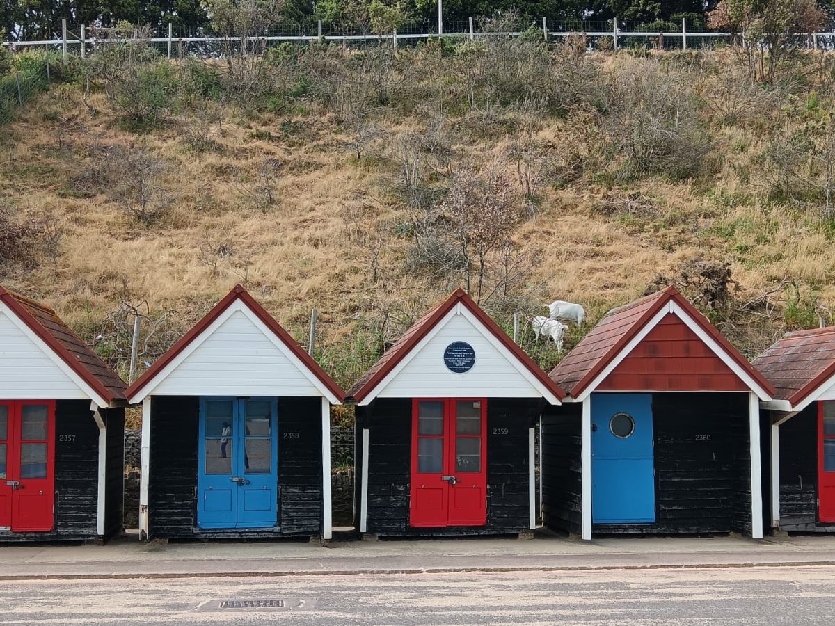 Summer camp Bournemouth, UK12