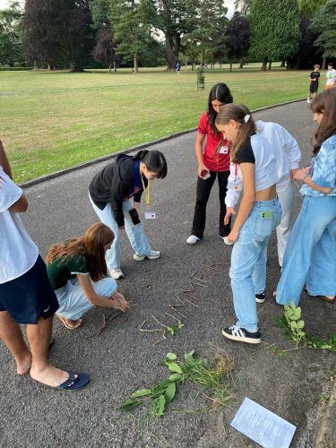 PHOTO-2025-07-29-11-08-59