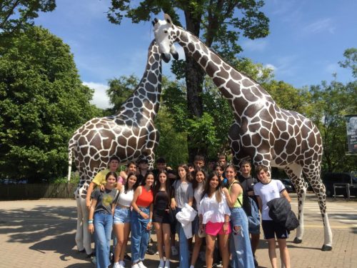 Social Activities 2022 (33)